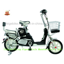 Hot Sale Electric Scooter (FP-EB-002)